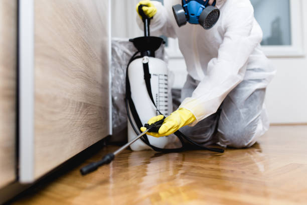 Insect Control in Dell Rapids, SD