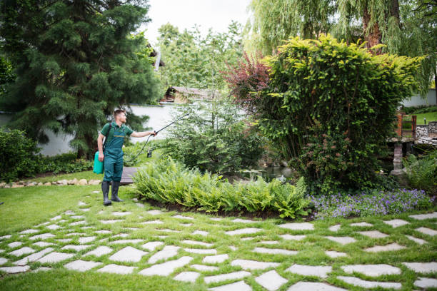 Best Pest Prevention Services  in Dell Rapids, SD