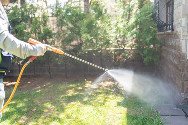 Best Ant Control Services  in Dell Rapids, SD