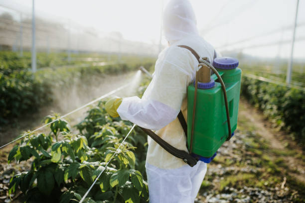 Best Wildlife Control Services  in Dell Rapids, SD